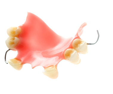 standard_denture11 Acrylic Partial Dentures in Perth - Total Denture Care